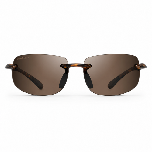 Gloss Tortoise / Brown Polarized Lens 1