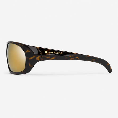Gloss Tortoise / Gold Mirror Polarized Lens 4