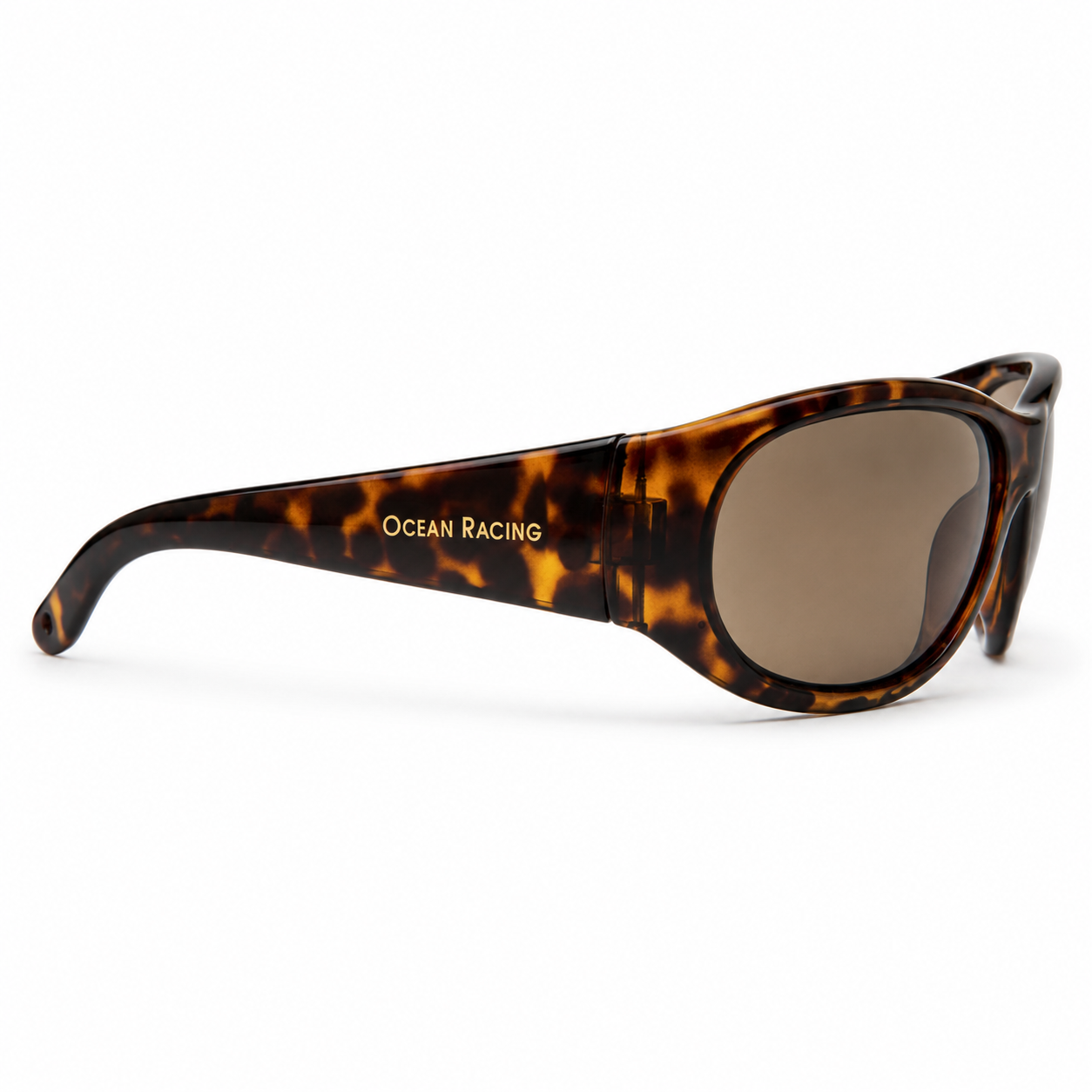 Gloss Tortoise / Brown Polarized Lens 5