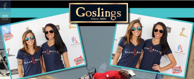 Women's Short Sleeve V-Neck T-Shirt
